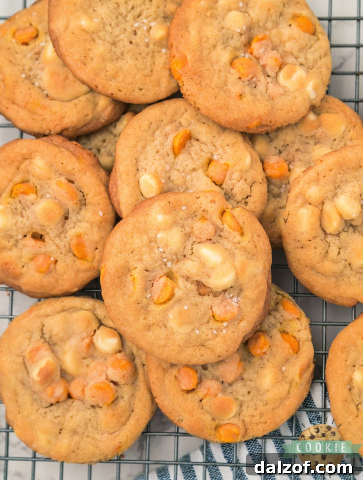 The Ultimate Salted Caramel White Chocolate Chip Cookie 7 A beautifully arranged plate of Salted Caramel White Chocolate Chip Cookies, perfect for dessert or gifting.