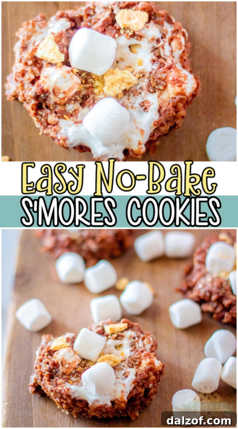 Easy No-Bake S'mores Cookies Recipe