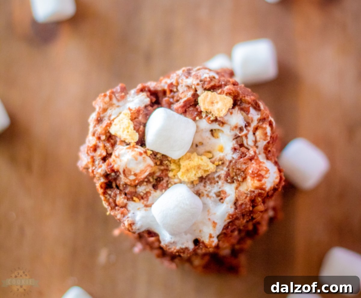 Peanut Butter S'mores No-Bake Cookies