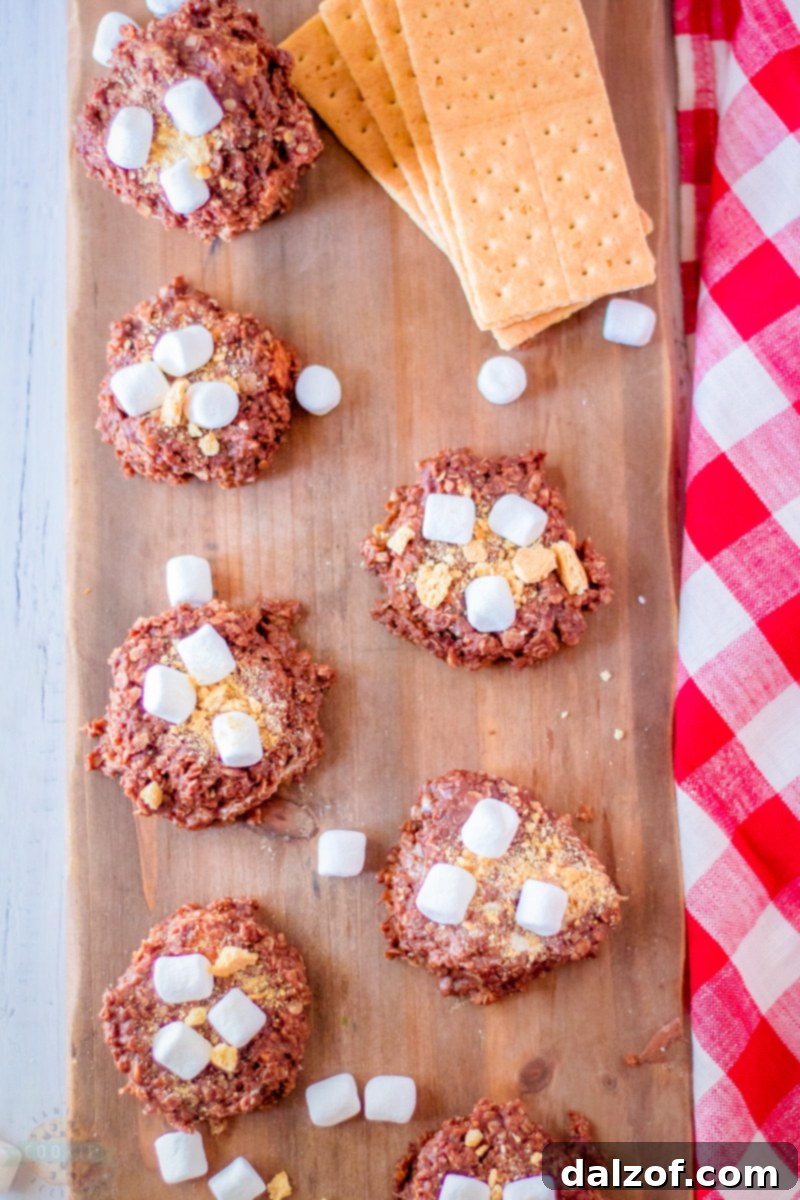 Ingredients for No-Bake S'mores Cookies