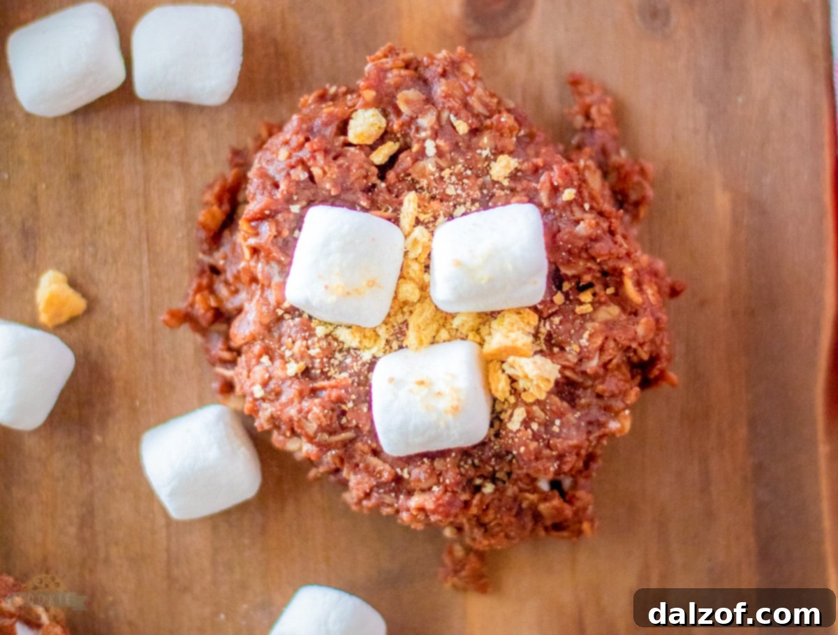 Finished No-Bake S'mores Cookies