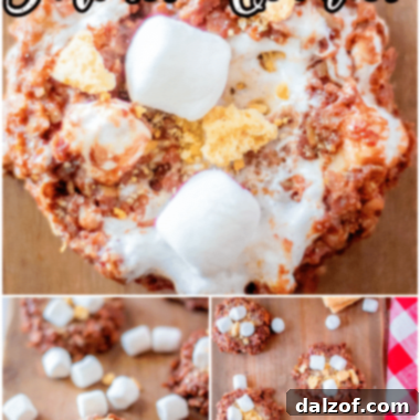 Delicious No Bake S'mores Cookies