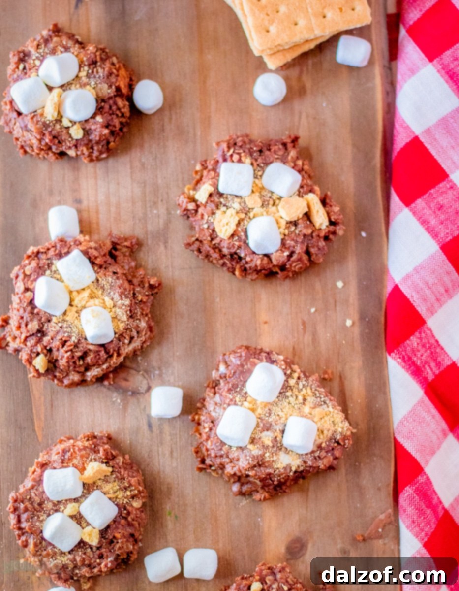 No-Bake S'mores Cookies Stored