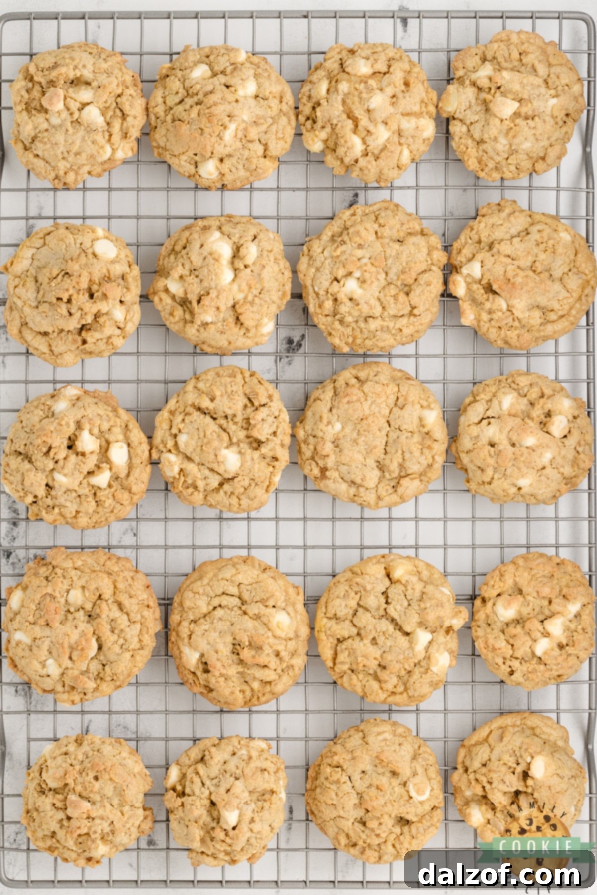 A plate of freshly baked Lemon Oatmeal Cookies, showcasing their soft texture.