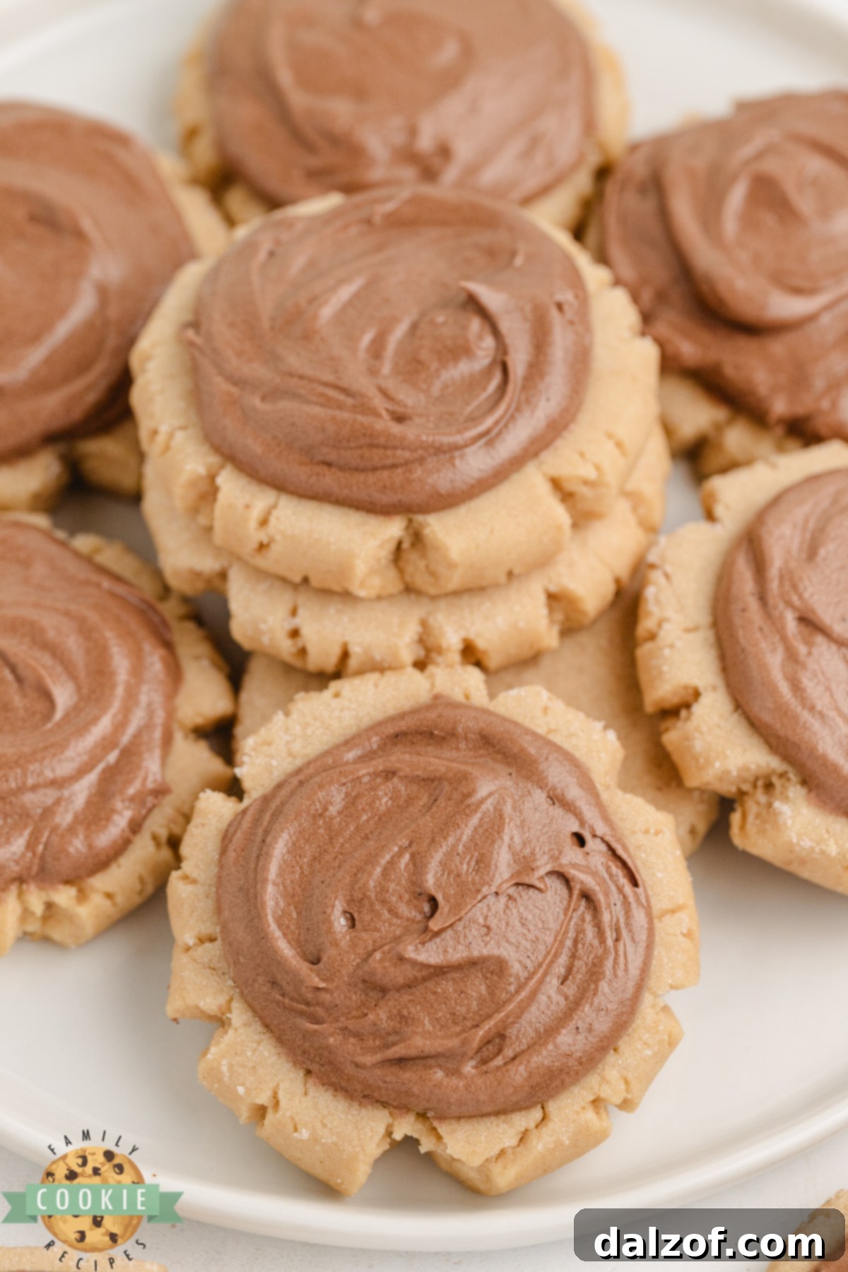 Close-up of a thick, chewy peanut butter cookie frosted with rich chocolate, highlighting its irresistible texture.