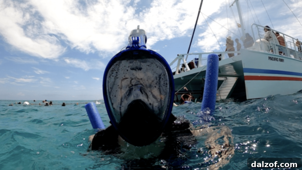 Son snorkeling with goggles and snorkel