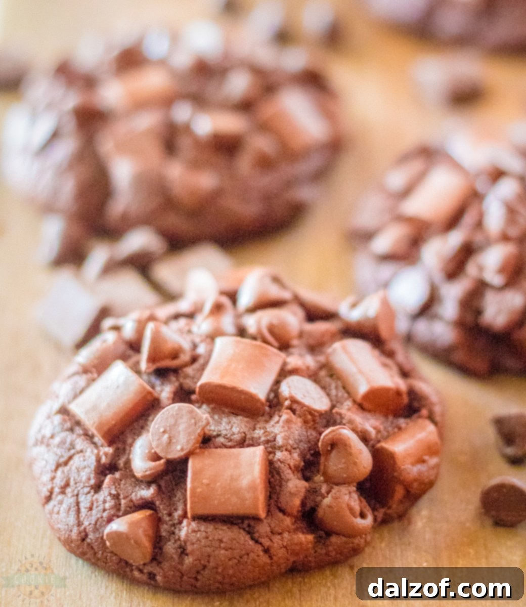 Ultimate Fudgy Brownie Cookies 8 Chocolate Brownie Cookies stored in an airtight container for freshness.