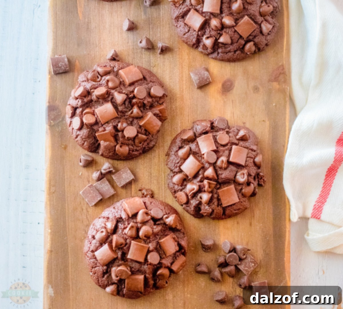 Ultimate Fudgy Brownie Cookies 9 A beautifully arranged plate of chocolate brownie cookies ready to be served.