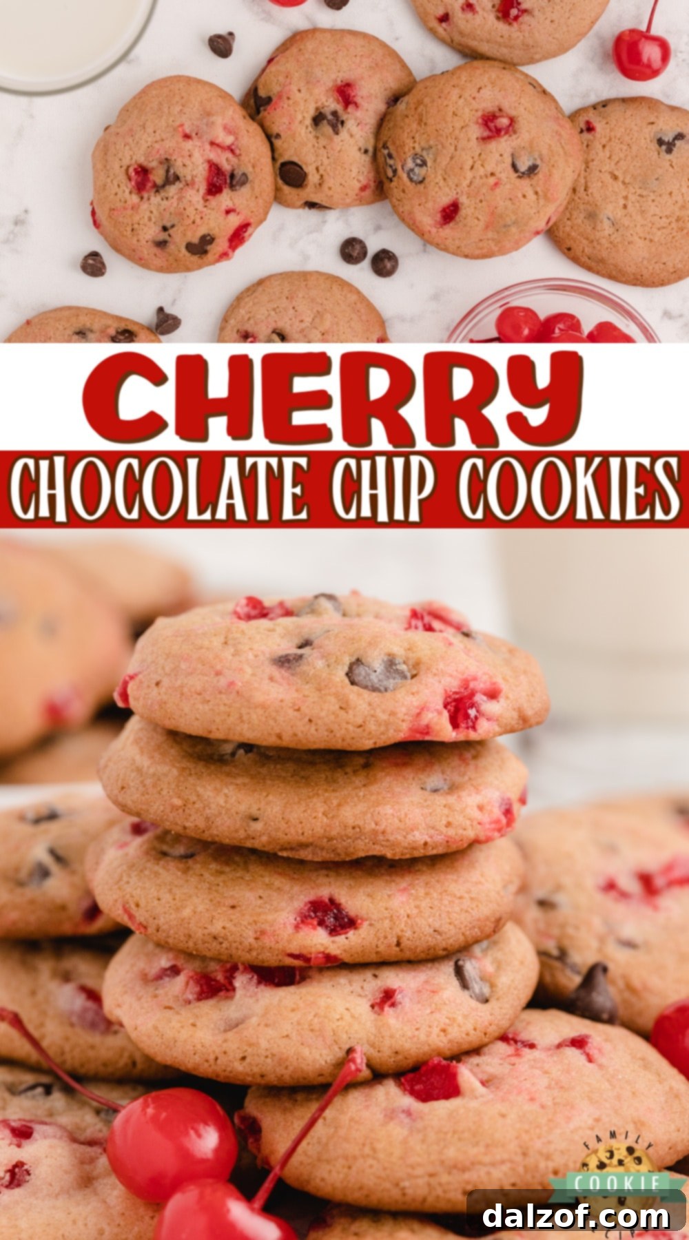 Cherry Chocolate Chip Cookies are soft, chewy and packed with cherry flavor, bits of maraschino cherries and chocolate chips! A fun and flavorful twist on traditional chocolate chip cookies.