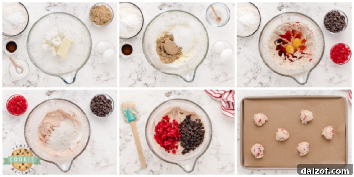 Step by step instructions on how to make Cherry Chocolate Chip Cookies