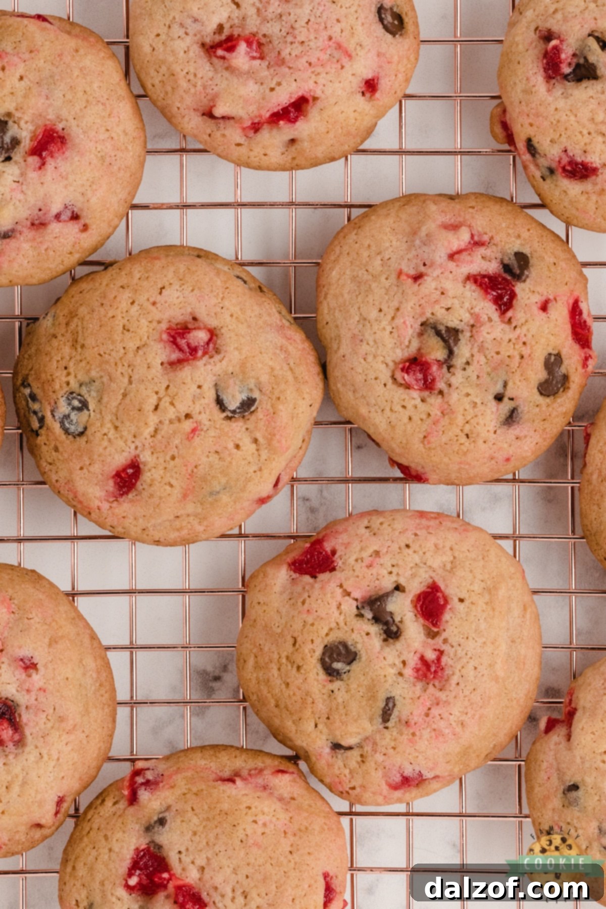 Chocolate chip cookies with cherries in them 