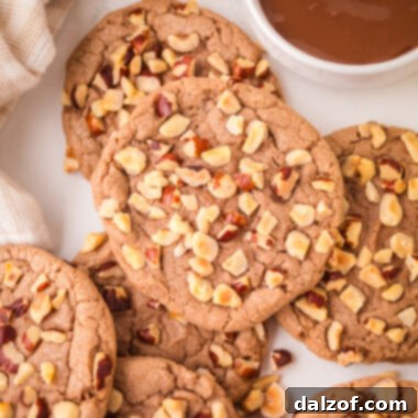 chocolate hazelnut cookies