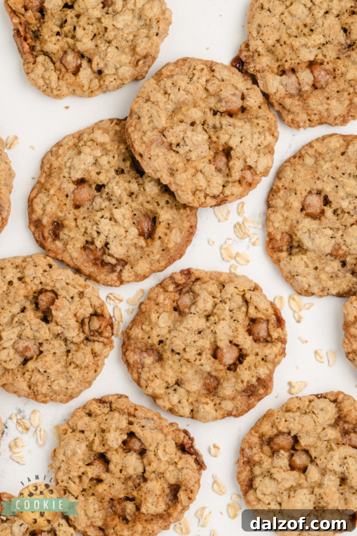 Close-up of a batch of freshly baked Caramel Oatmeal Cookies, showing the distinct caramel bits.