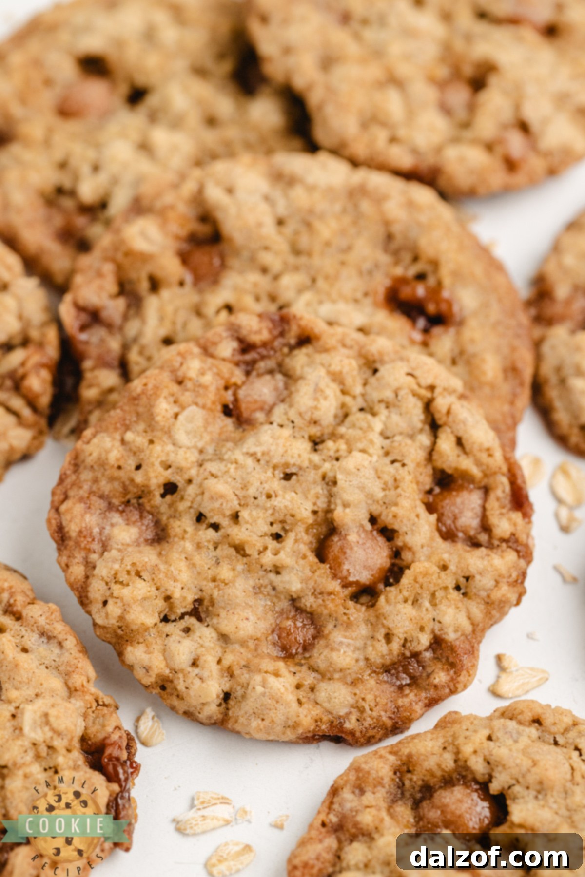 A full tray of freshly baked Caramel Oatmeal Cookies, golden brown and ready to be enjoyed.