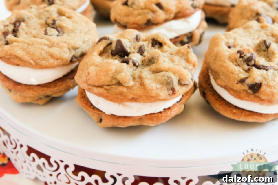 S'mores Cookie Sandwiches are made with graham cracker chocolate chip cookies and a simple marshmallow filling. Even if you don't love s'mores, you will love these cookie sandwiches!