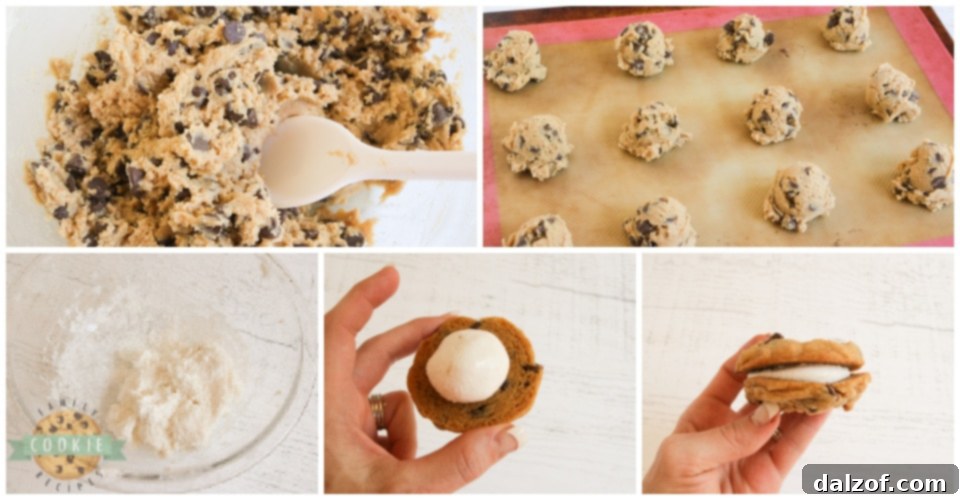 How to make S'mores Cookie Sandwiches