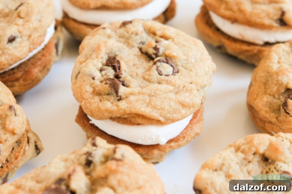 S'mores Cookie Sandwiches are made with graham cracker chocolate chip cookies and a simple marshmallow filling. Even if you don't love s'mores, you will love these cookie sandwiches!