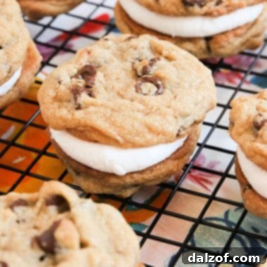 S'mores Cookie Sandwiches