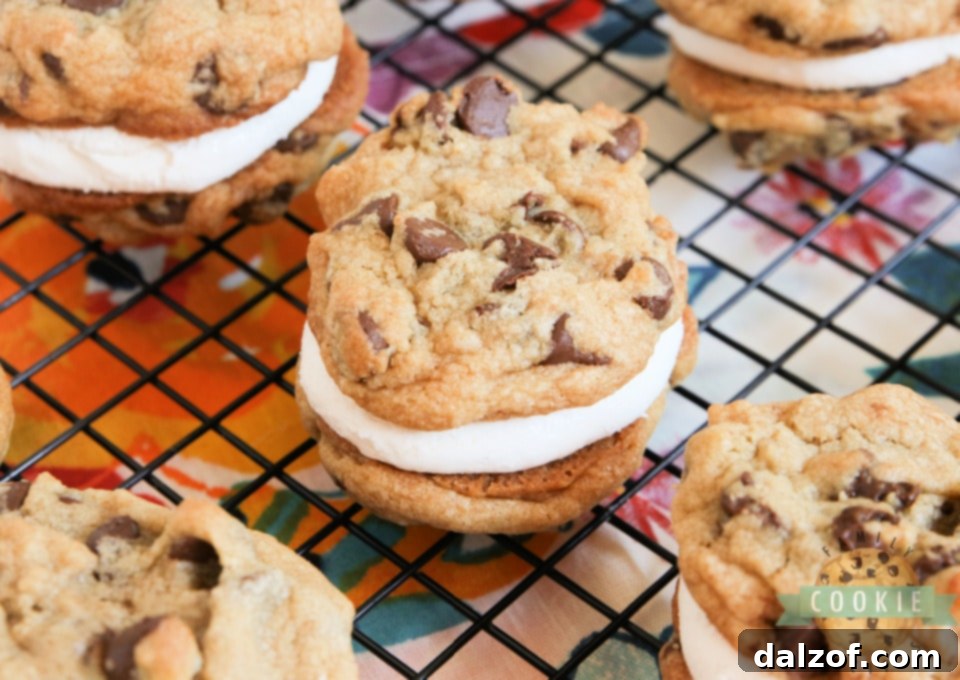 S'mores Cookie Sandwiches are made with graham cracker chocolate chip cookies and a simple marshmallow filling. Even if you don't love s'mores, you will love these cookie sandwiches! 
