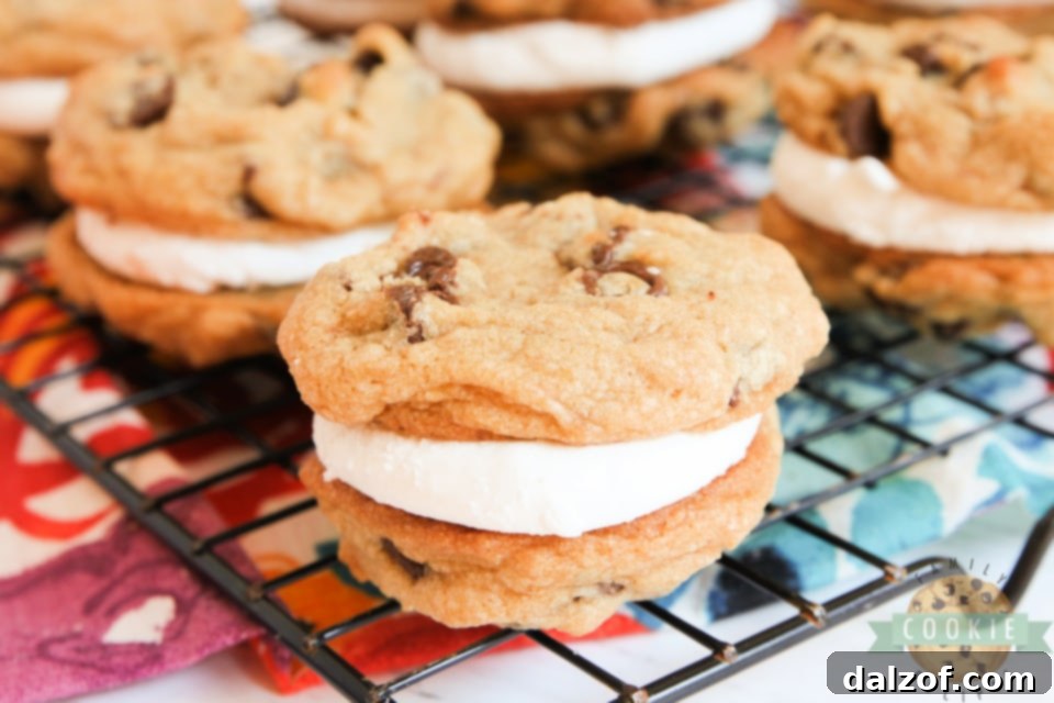 S'mores Cookie Sandwiches are made with graham cracker chocolate chip cookies and a simple marshmallow filling. Even if you don't love s'mores, you will love these cookie sandwiches! 