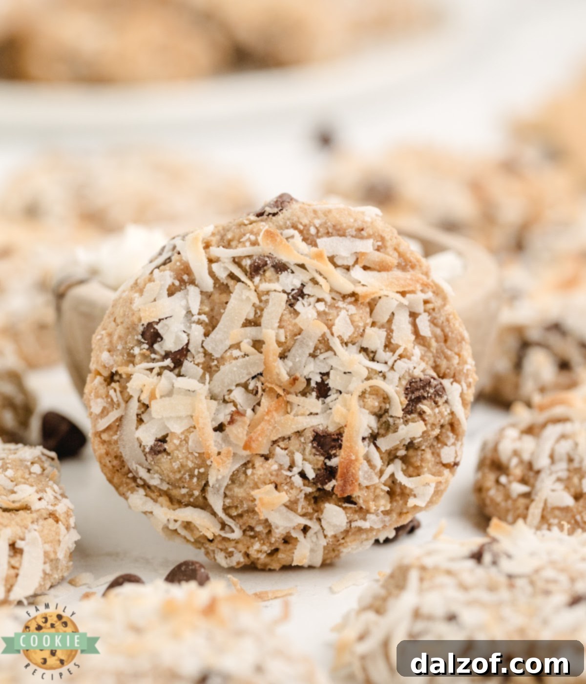 Close-up of shredded coconut coating on chewy graham cracker cookie recipe, highlighting the textured surface and delicious appeal of these simple 4-ingredient cookies.