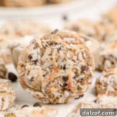 A close-up shot of a Graham Cracker Coconut Cookie with chocolate chips.