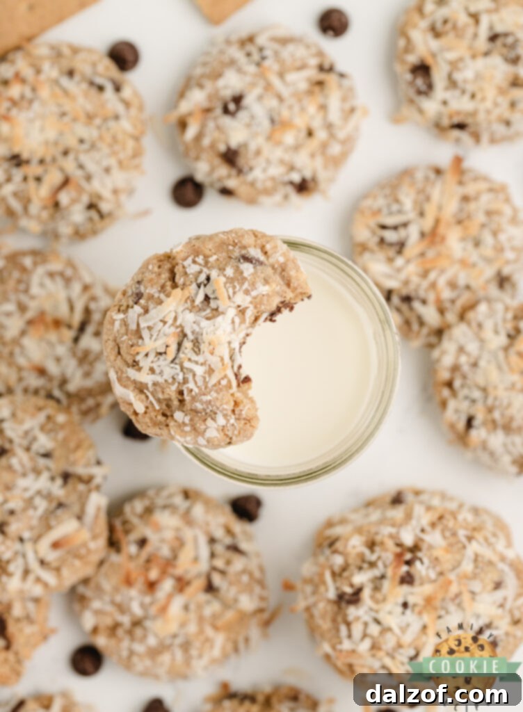 Soft and chewy coconut cookies made with graham cracker crumbs, served beautifully on a white plate, highlighting their delightful texture.