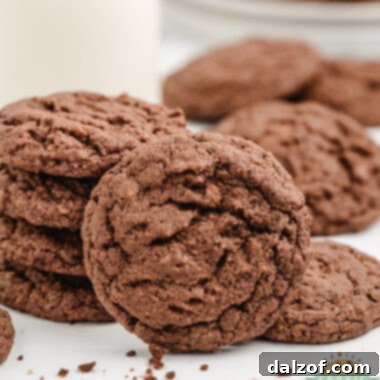 Chocolate Graham Cracker Cookies
