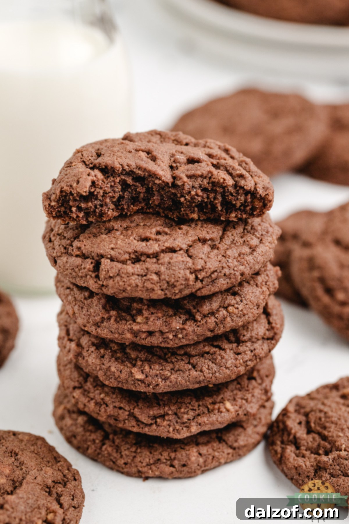 A close-up of a single Chocolate Graham Cracker Cookie with a perfect soft texture and visible graham cracker crumbs.