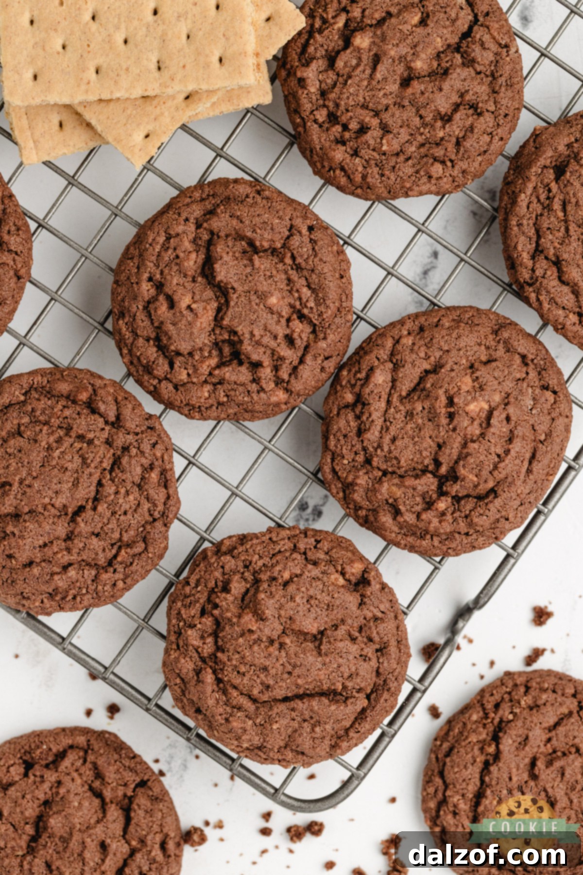 A plate of Chocolate Graham Cracker Cookies ready to be served, with a glass of milk in the background.