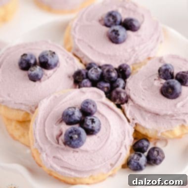 Delicious Blueberry Sugar Cookies with creamy frosting.