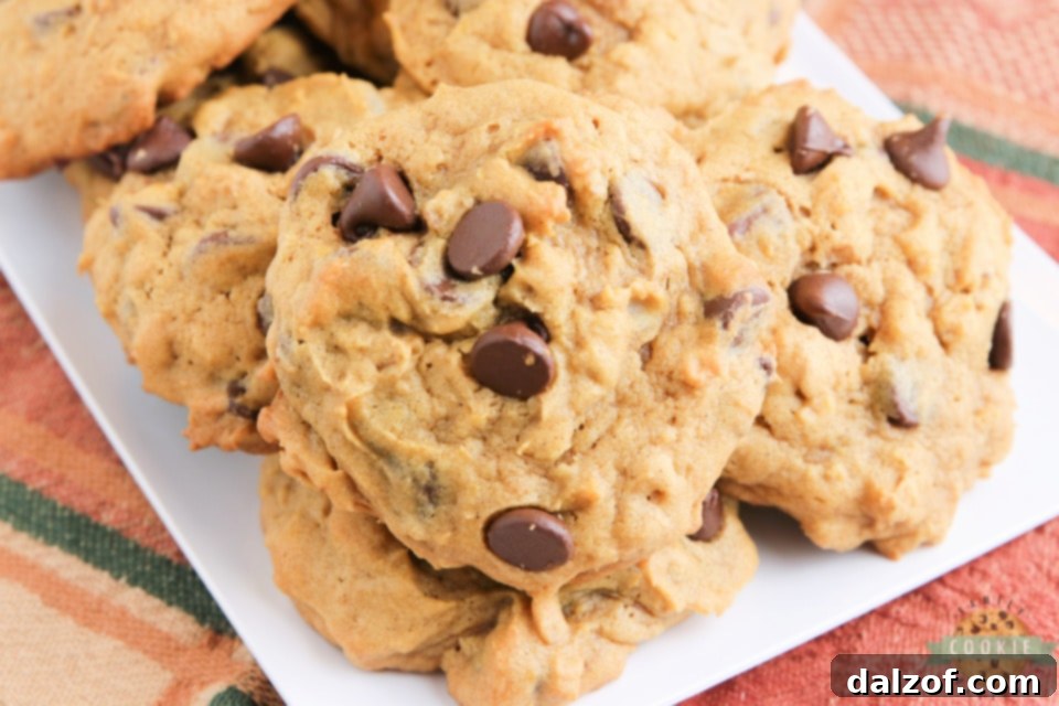 Close-up of baked Pumpkin Oatmeal Chocolate Chip Cookies, showing their soft texture and visible oats and chocolate chips.