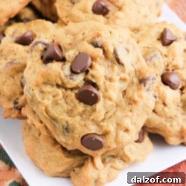Pumpkin Oatmeal Chocolate Chip Cookies