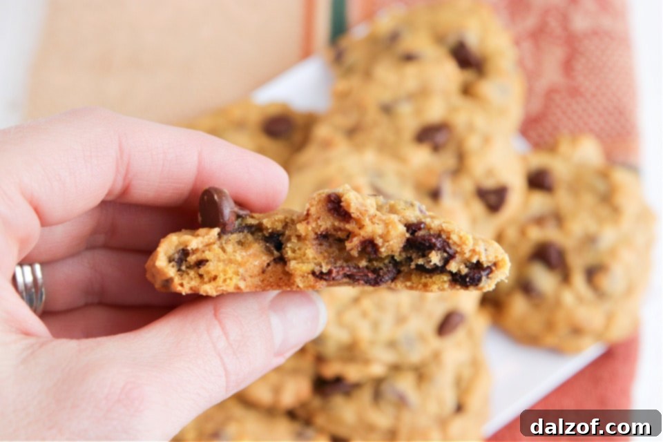 Pumpkin cookies with oats and chocolate chips cooling on a wire rack.