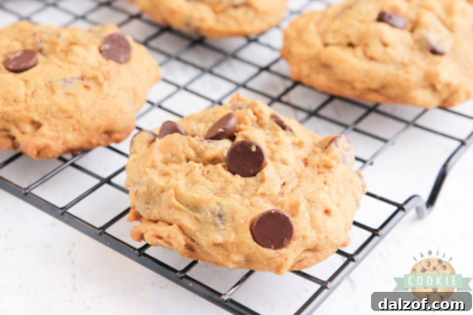 Warm and inviting pumpkin oatmeal cookies with chocolate chips, ready to be enjoyed.