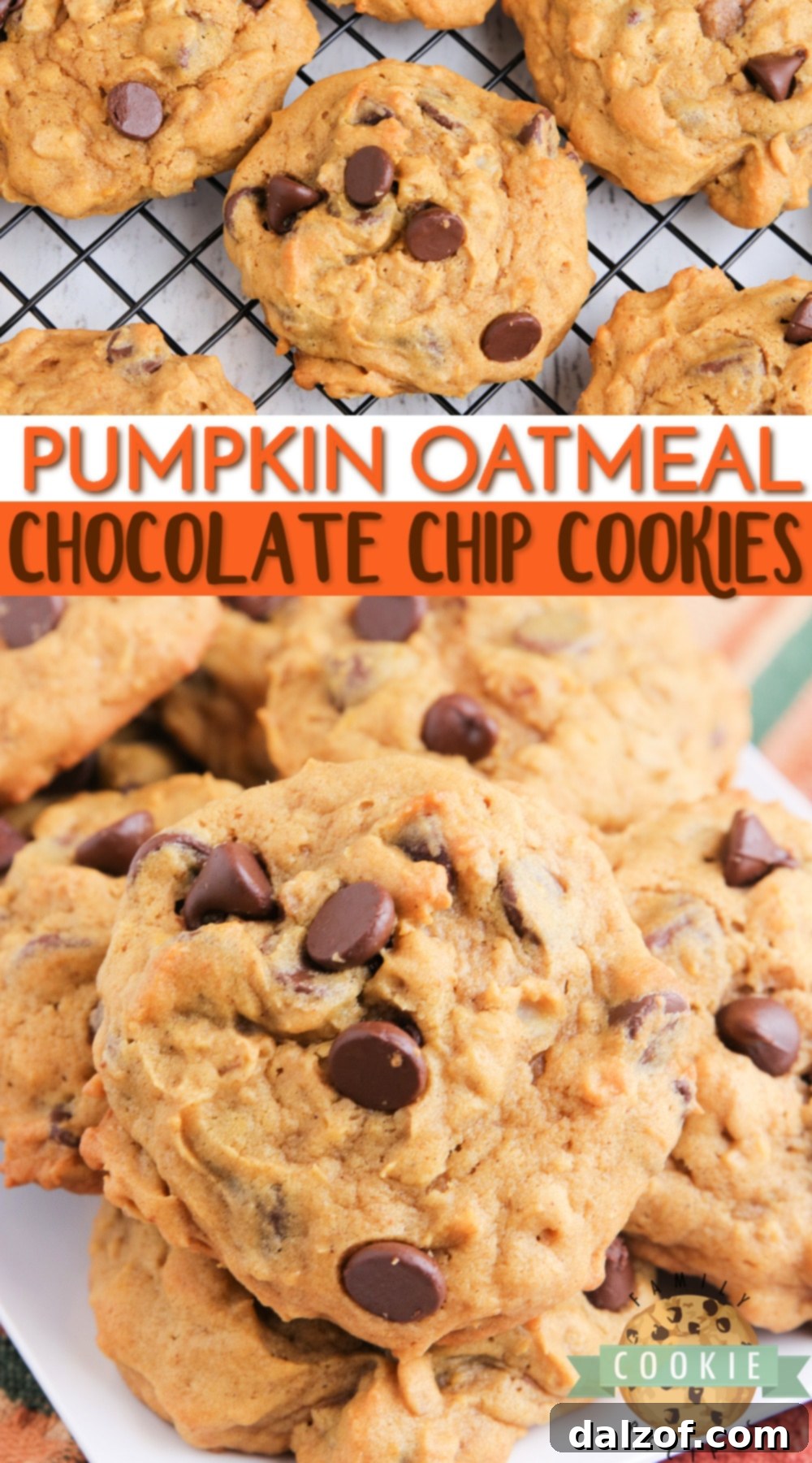 A festive spread of Pumpkin Oatmeal Chocolate Chip Cookies, perfect for autumn gatherings.