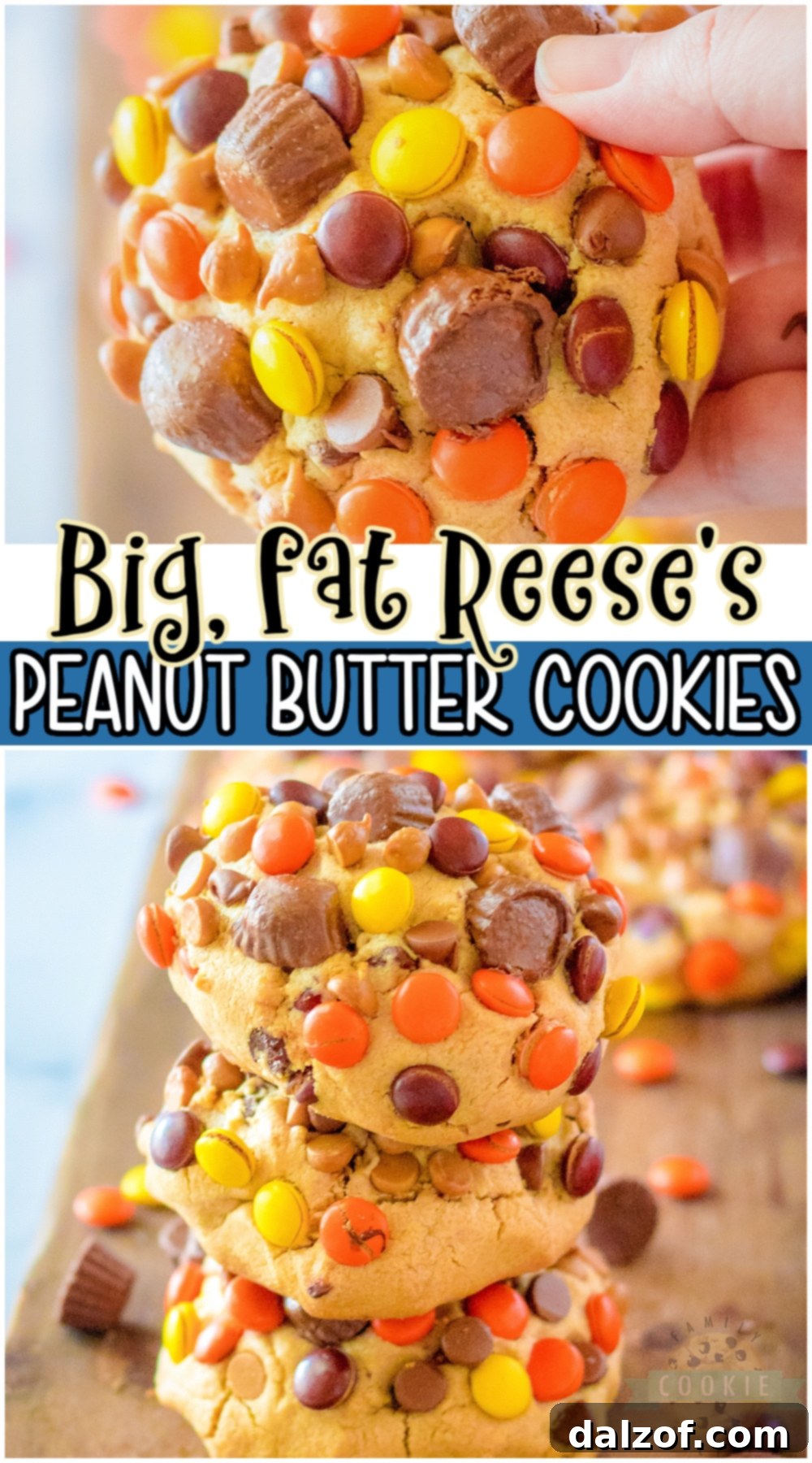A Pinterest-optimized image for Reese’s Peanut Butter cookies loaded with Reese’s Pieces, peanut butter & chocolate chips, and Reese's Cups! Big, fat cookies packed with great peanut butter chocolate flavor that everyone loves! #cookies #bigfat #peanutbutter #reeses #easyrecipe from FAMILY COOKIE RECIPES