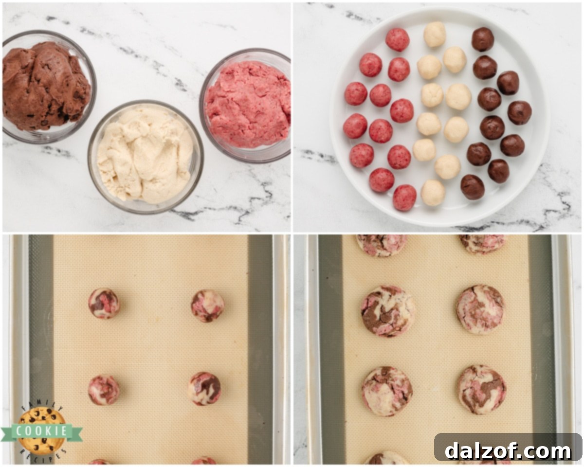 making neapolitan cookies