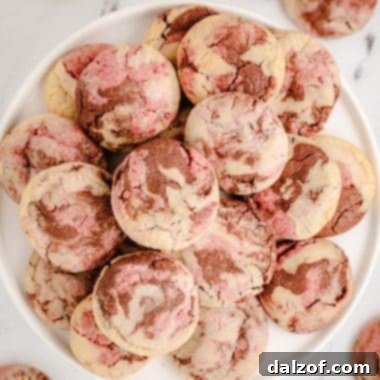 neapolitan cookies on a white plate