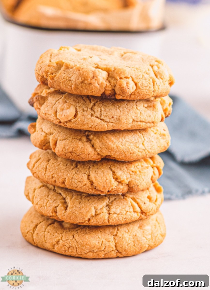 Crunchy white chocolate cinnamon cookies with melted white chocolate chips
