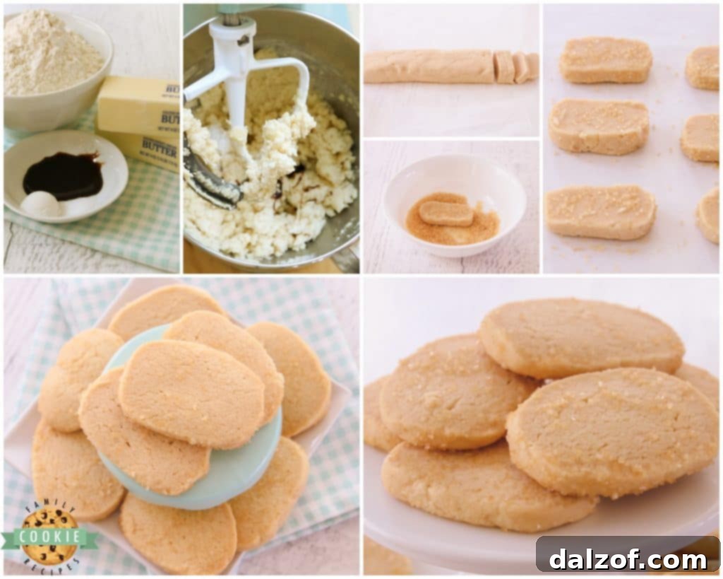 Ingredients laid out for making vanilla butter cookies