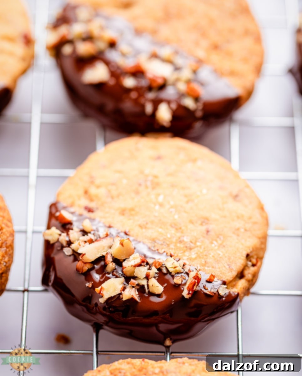 pecan sandies dipped in chocolate and sprinkled with pecans