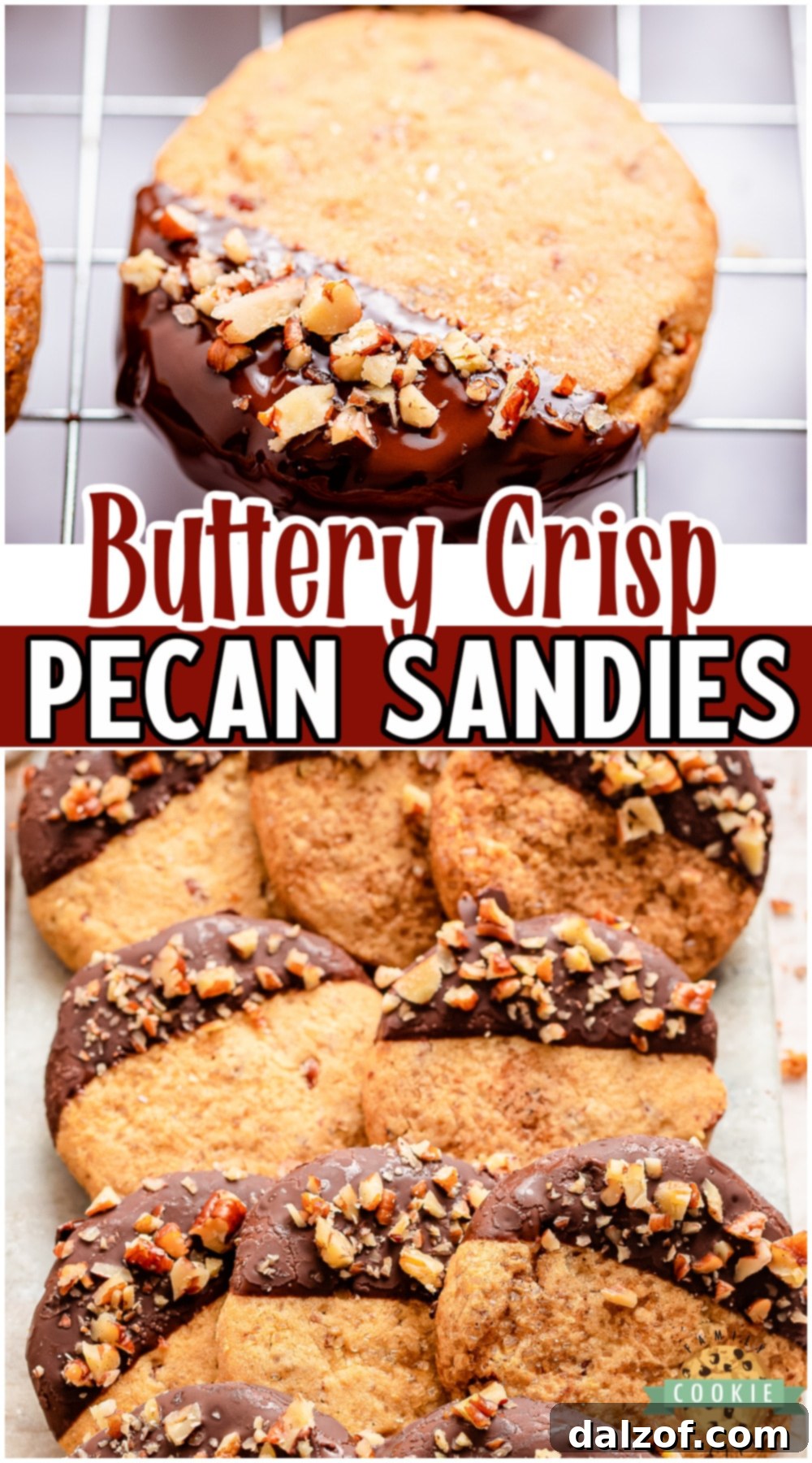 Pecan Sandies are a tender, buttery cookie flavored with cinnamon, vanilla and plenty of pecans! Pecan cookies dipped in dark chocolate and sprinkled with chopped pecans for the ultimate cookie!