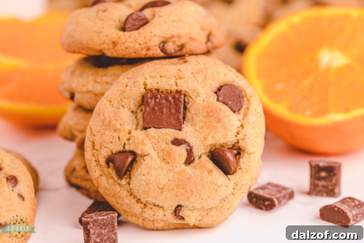 Close-up of baked Orange Cinnamon Chocolate Chip Cookies on a cooling rack.