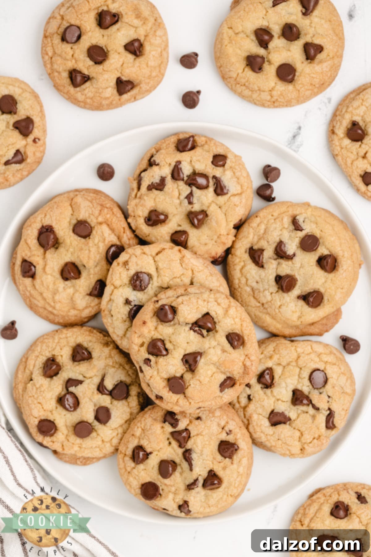 The best Chocolate Chip Cookies are soft, chewy, and easy to make too! After trying dozens of different chocolate chip cookie recipes, I decided that this one is the absolute best!