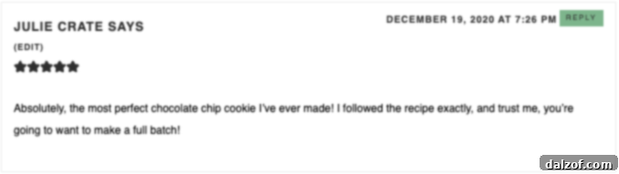 Five-star review for the best chocolate chip cookies recipe, praising its ease and perfect texture.
