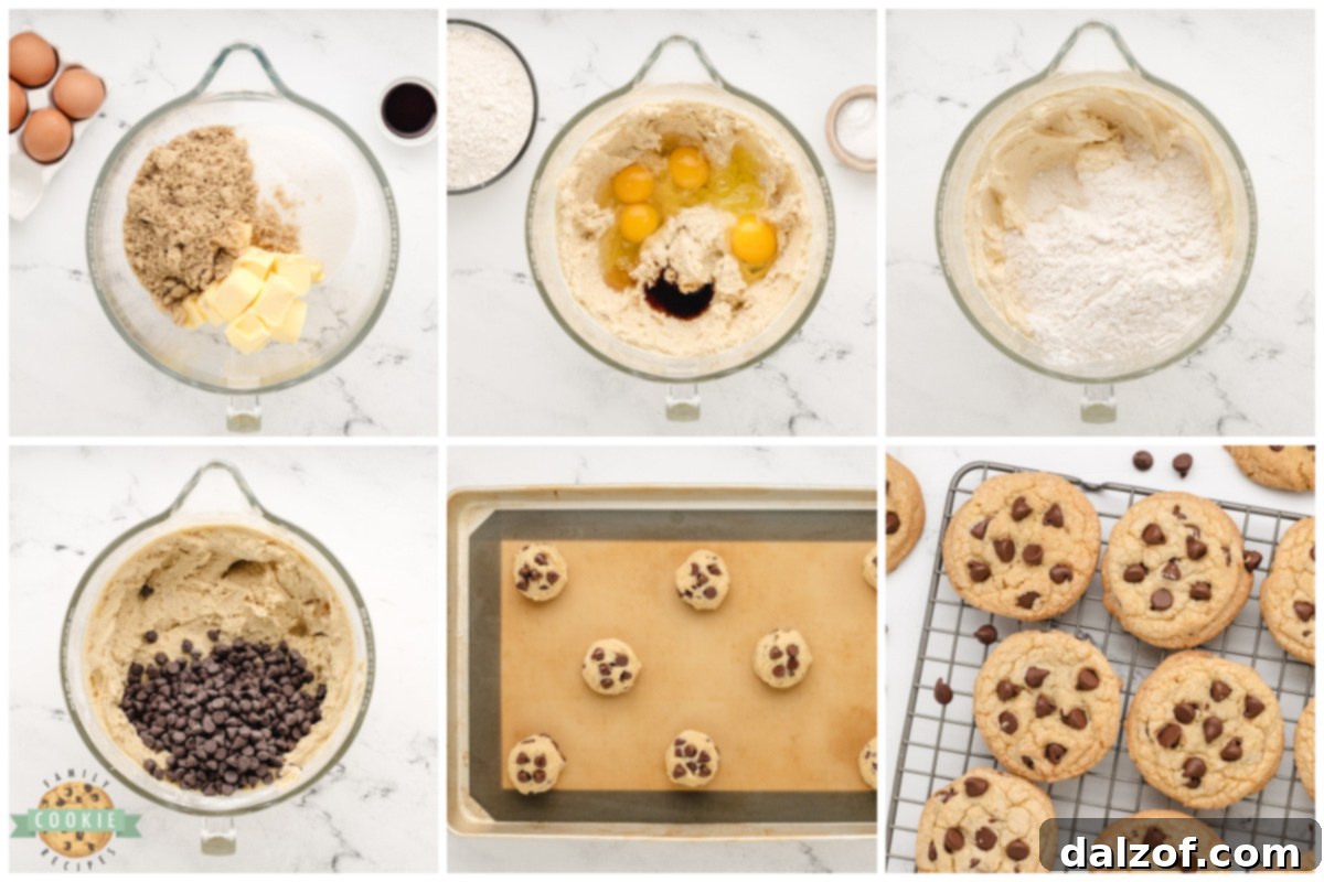 Step by step instructions on how to make the best chocolate chip cookies, visually guided.