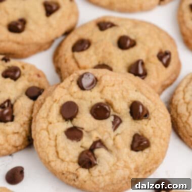 Delicious chocolate chip cookies, ready to be enjoyed