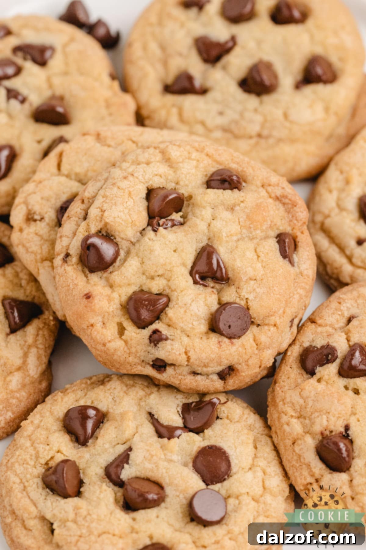 Thick, chewy chocolate chip cookies ready to eat on a cooling rack.