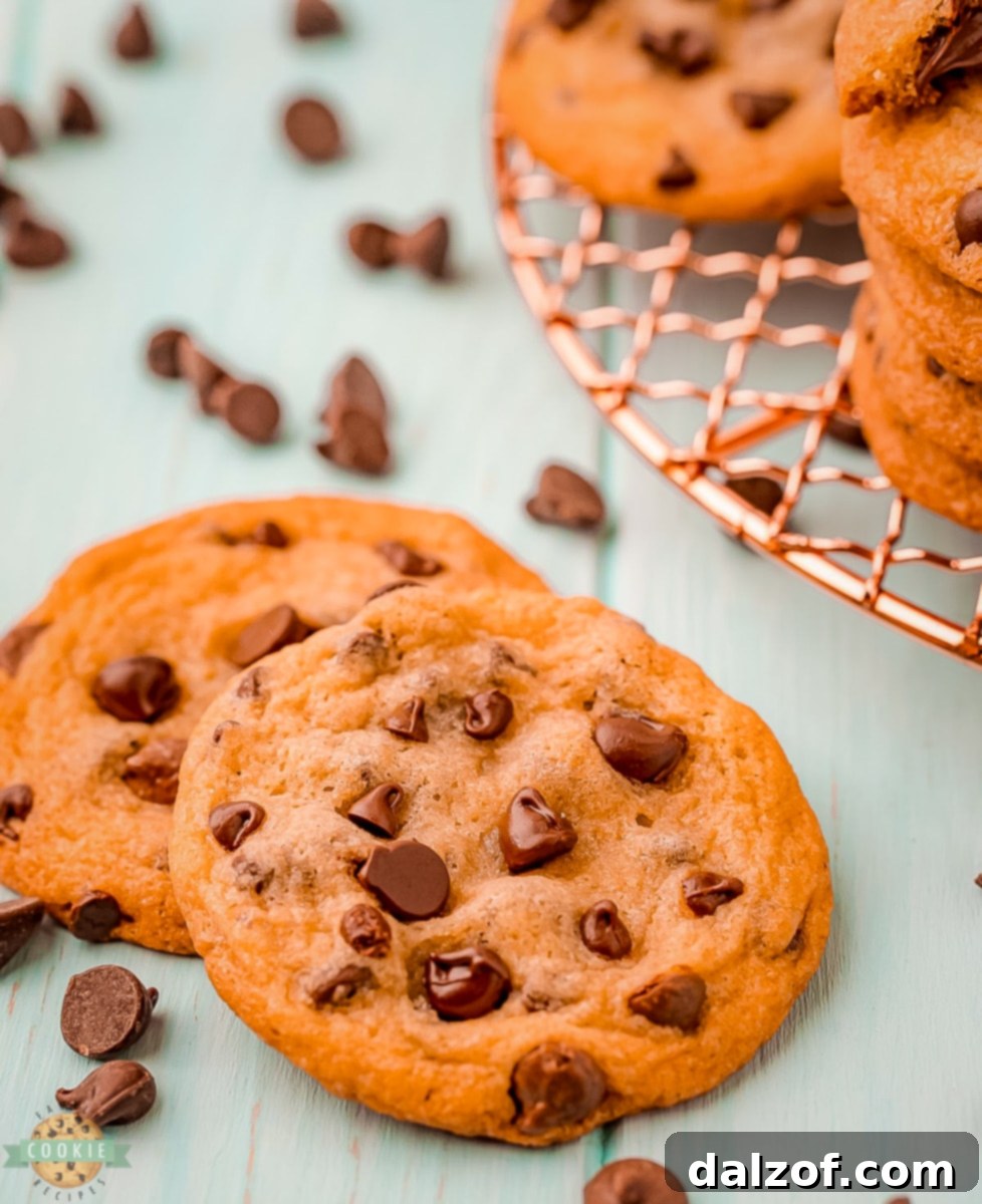 Freshly baked chewy chocolate chip cookies with melted chocolate chips
